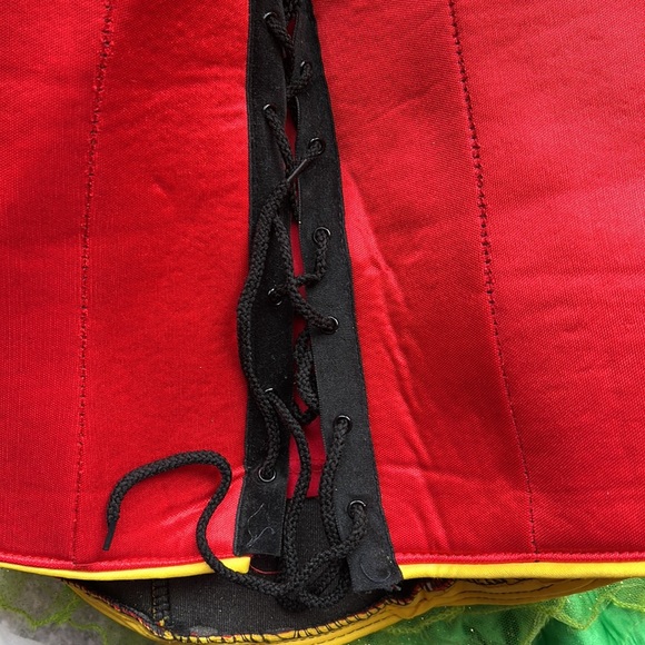 Batman and Robin Halloween Costume like new - Picture 8 of 9